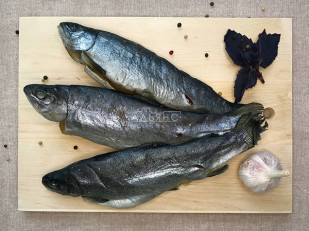 Колбаски из тунца: Форель радужная вяленая